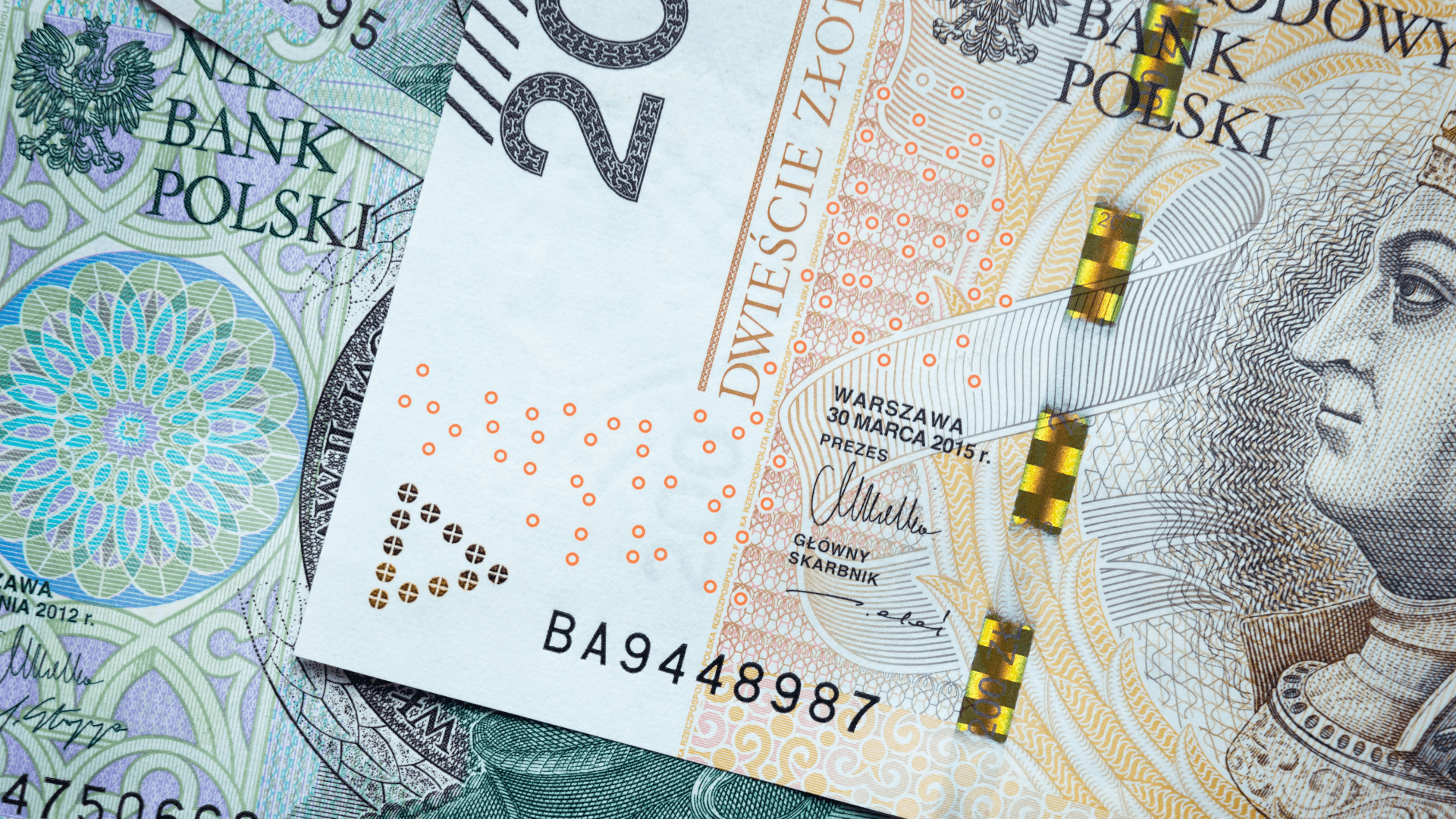 Pół miliarda złotych na cyfrowy i zielony skok. PARP szuka partnerów do obsługi funduszu pożyczkowego