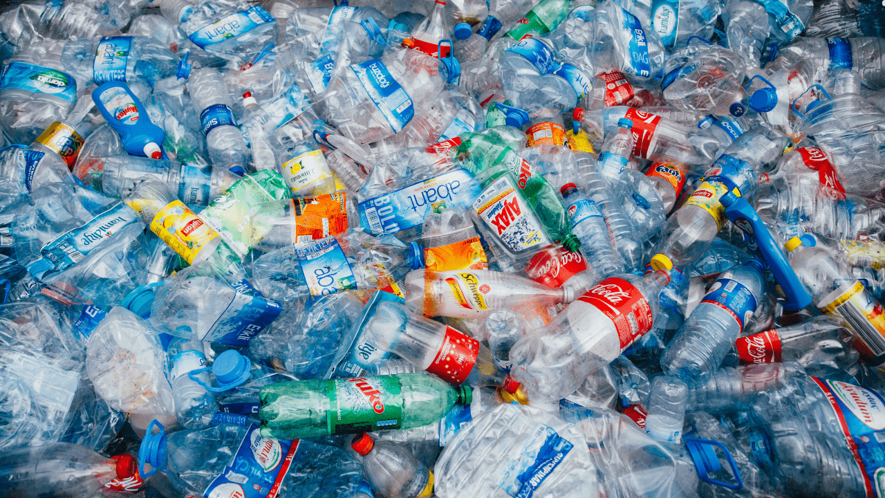 Wysokobiałkowe ciastka z odpadów plastikowych. Amerykańscy badacze opracowali innowacyjną metodę tworzenia żywności