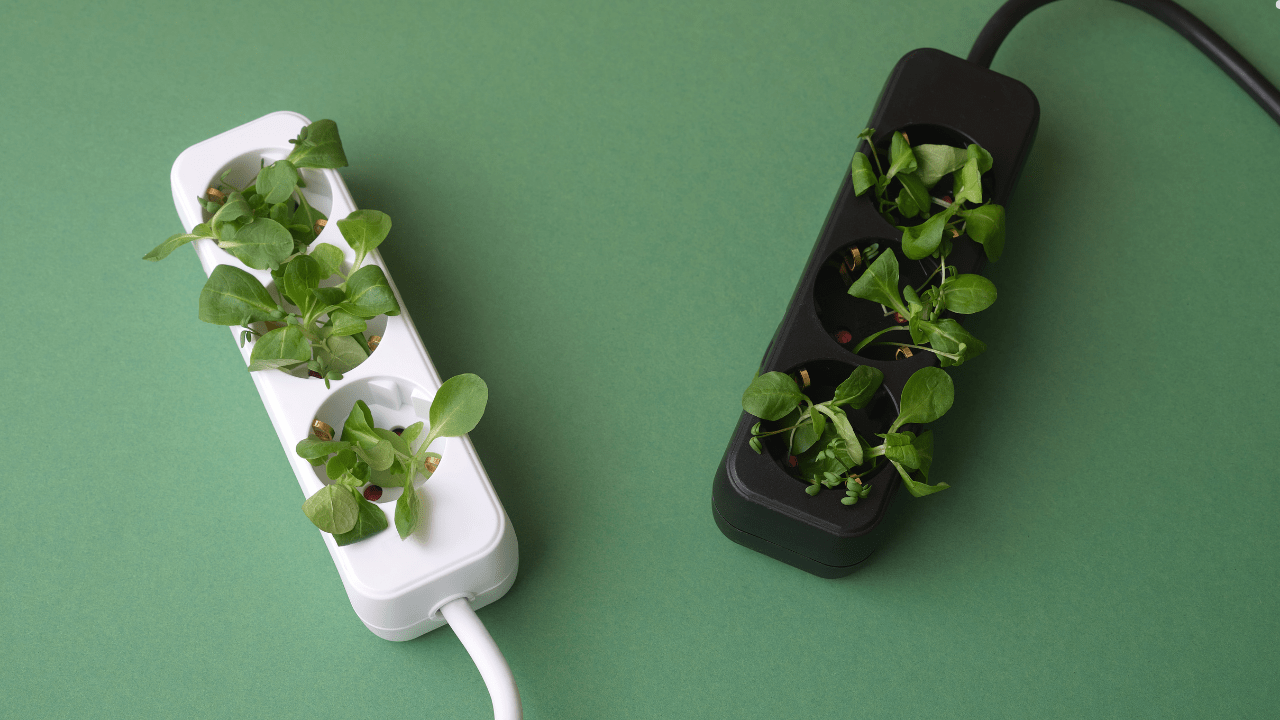 Cummins inwestuje w fundusz Emerald. Plan? Elektryfikacja, paliwa alternatywne i dekarbonizacja